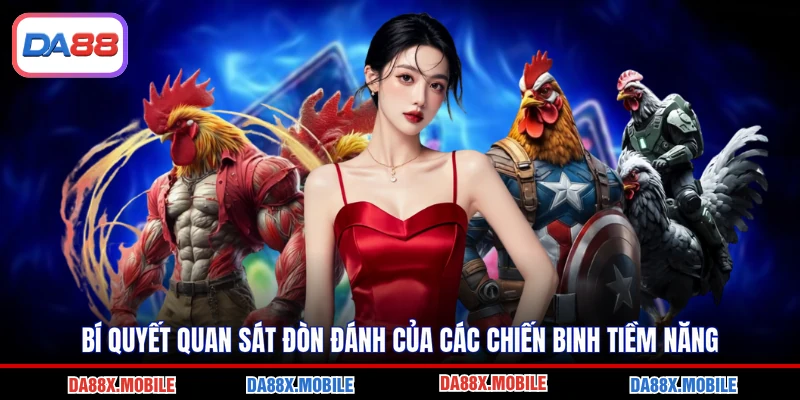 Bí quyết quan sát đòn đánh của các chiến binh tiềm năng