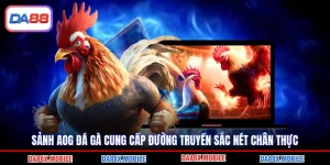 Sảnh AOG Đá Gà Cung Cấp Đường Truyền Sắc Nét Chân Thực