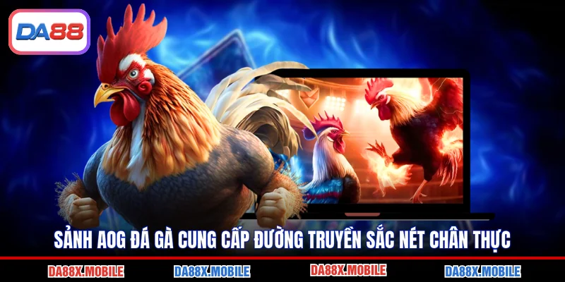 Sảnh AOG Đá Gà Cung Cấp Đường Truyền Sắc Nét Chân Thực